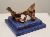 Pelvis, Encaustic & Cast Bronze in Salt 12