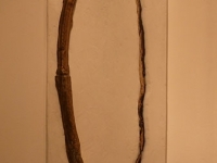 "Traces" 2019   22” x 36” cast bronze, wax-pigment